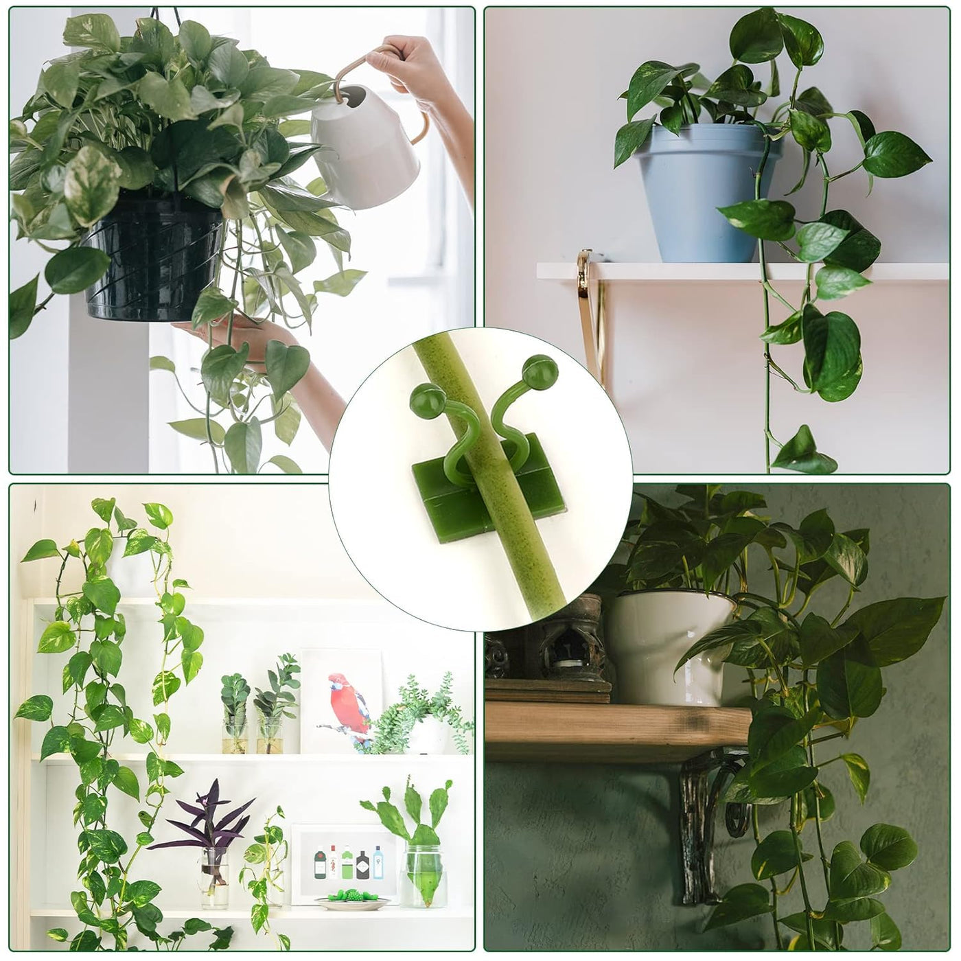 Plant Climbing Self Adhesive Wall Clips [60 Clips Set]